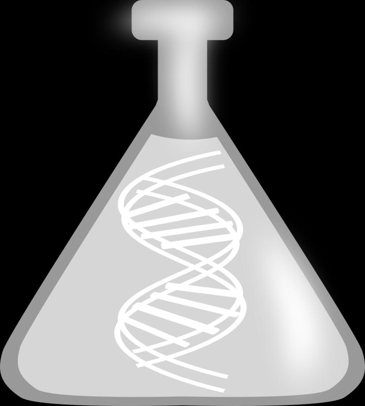 Yksi kromosomi sisältää noin 30.000 geeniä ja geenissä oleva informaatio on tallentunut nukleiinihappoihin eli DNA:han.