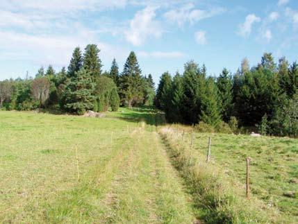 New solutions for rural living competition Background to the competition assumed that the resident would be a modern person, who expresses their values General criticism of the entries provide any