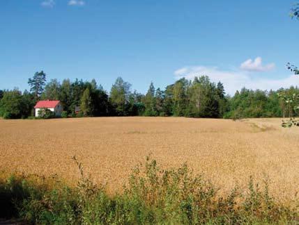 Generally, the competitors had not evaluated The competition, organized by the Finnish Foundation for Cultural Heritage, is a by living freely and responsibly, but nevertheless in a rural environment