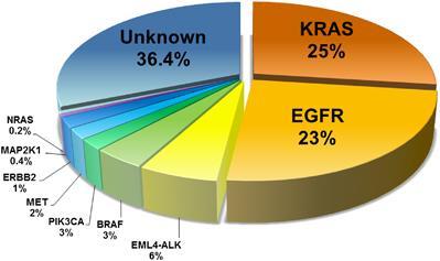 Kirjallisuus vs. oma NGS 1.