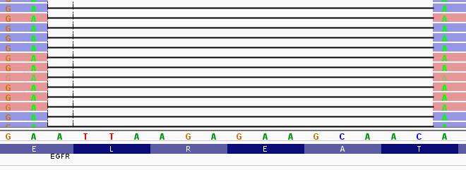 Uudet EGFR-mutaatiot EGFR (NM_005228.3) c.