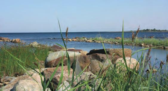 Hiihtolomaviikolla Raatissa, Oulun Talviuimareiden järjestämissä Avantouinnin SM-uintikisoissa ahkeroi iloinen Lohenpyrstön joukko talkoissa yhdessä kisoja järjestävän seuran kanssa.