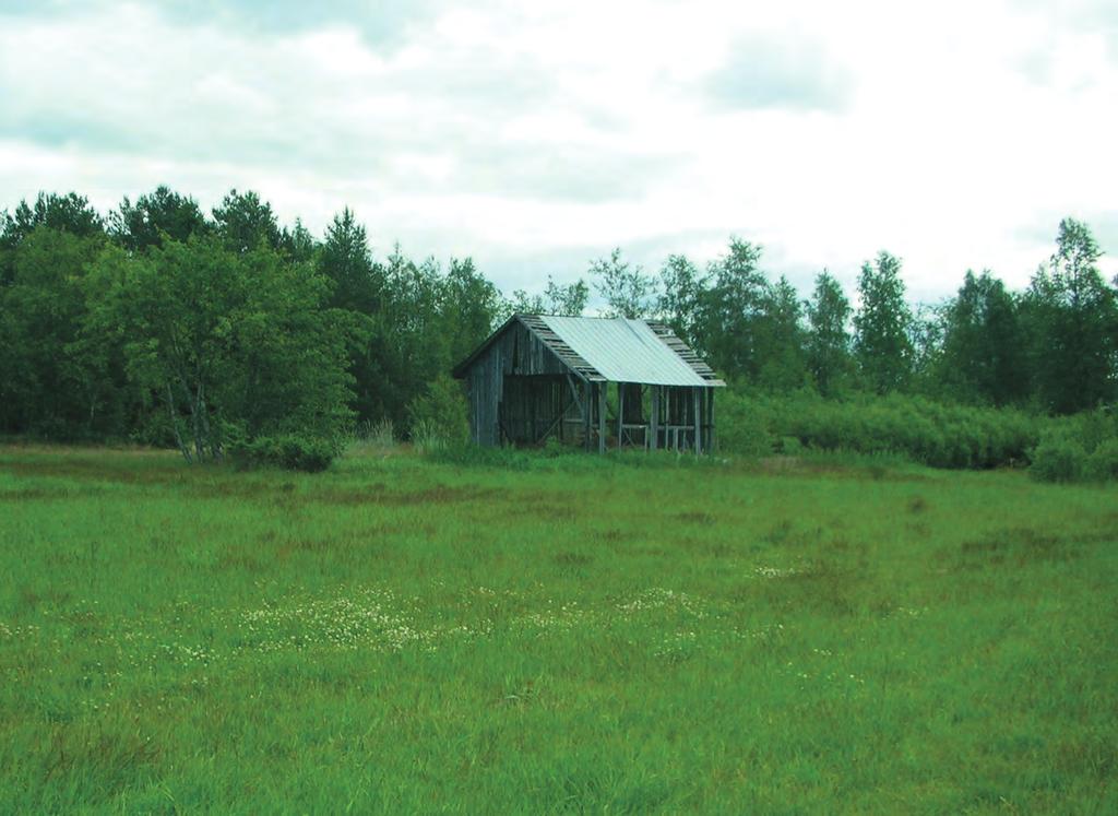 Vuodet 2007-2008 Vuosi 2007 Ennen Lohenpystön perustamista Raahessa oli ollut toiminnassa jo karavaanariyhdistys SFC Raahentienoo ry.