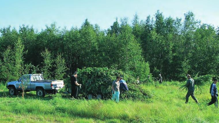 Ilman tukea Lohenpyrstön rakentaminen ei olisi lähtenyt käyntiin.