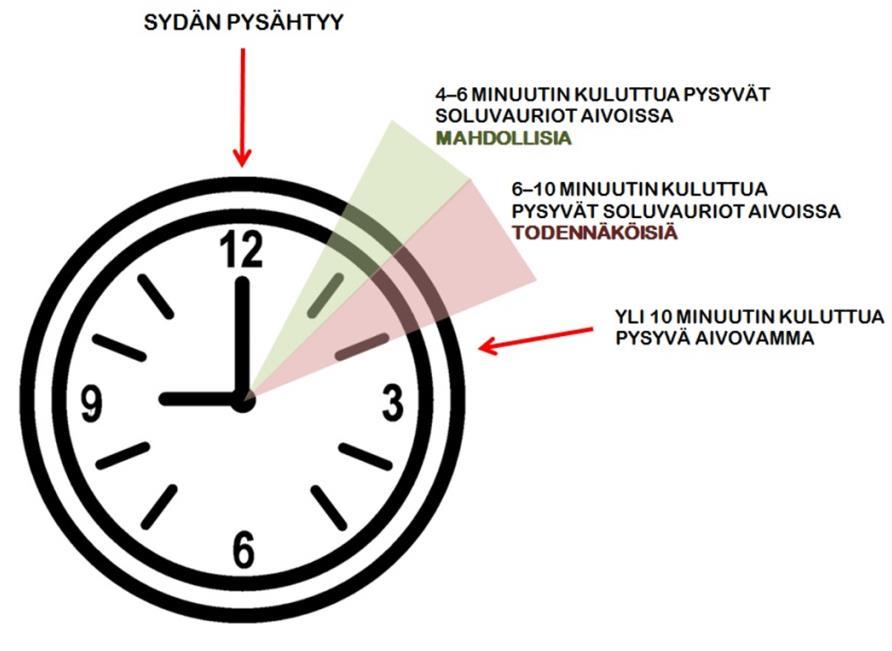 20 KUVA 1. Aivojen soluvaurioiden syntynopeus sydänpysähdyksen jälkeen (Castrén, Korte & Myllyrinne 2012b.