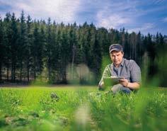 Tee Laatuviljasopimus nyt Tekemällä vähintään 20 hehtaarin laatuviljasopimuksen K-maataloudessa helmikuun 2017 loppuun