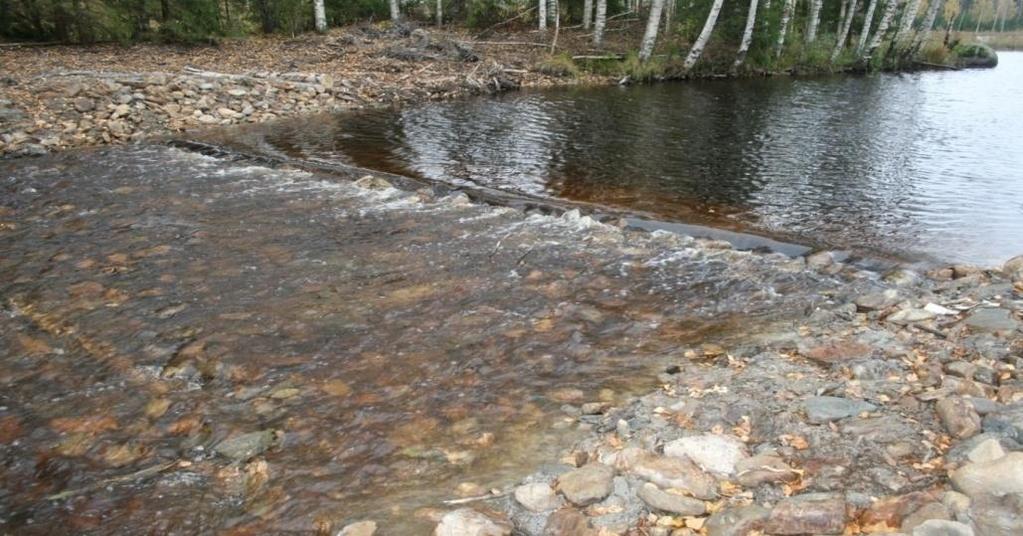 Omaehtoisen kunnostustoiminnan edistäminen Ilpo Käkelä Pohjois-Savon ELY-keskus - Kunnostushankkeen toteutusvastuu siirtyy kokonaan tai osittain paikallisille tahoille - Hanke valmistellaan ja
