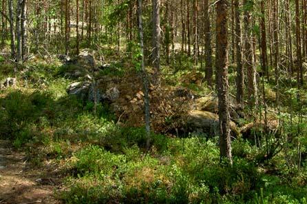 Alueen pohjoisosa on kokonaisuudessaan liito-oravan