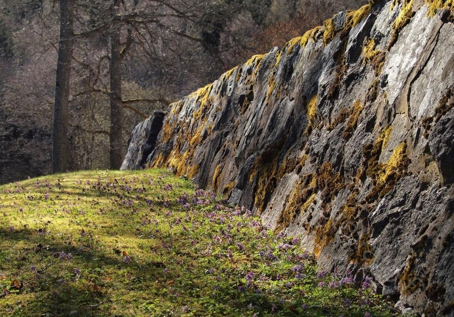 Kalliota säästetään ja pihat rakennetaan terassinomaisesti oleskelua ja leikkiä varten. Terassit tulee rakentaa kallioita myötäillen.