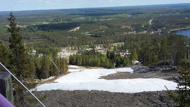 varapuheenjohtaja Airi Ekman