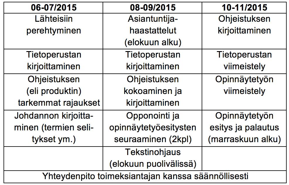 aidosti hyötyä. Minua on aina kiinnostanut kehittämistyö ja ajan myötä aloin etsimään nimenomaan sellaista organisaatiota ja aihetta, jossa pääsisin toteuttamaan jonkinlaisen kehittämisprojektin.