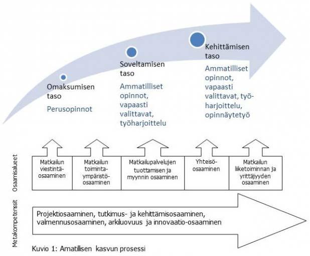 Ammatillinen kasvu Opiskelija kehittää ammatillista osaamistaan ja työelämässä tarvittavia yleisiä metakompetensseja kolmen tason, omaksumisen, soveltamisen ja kehittämisen tason kautta.