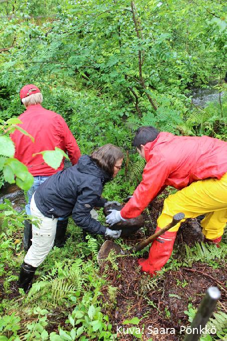 Ryhdy purokunnostajaksi liikkeelle voi lähteä pienelläkin panoksella Esimerkiksi yhdistys tai