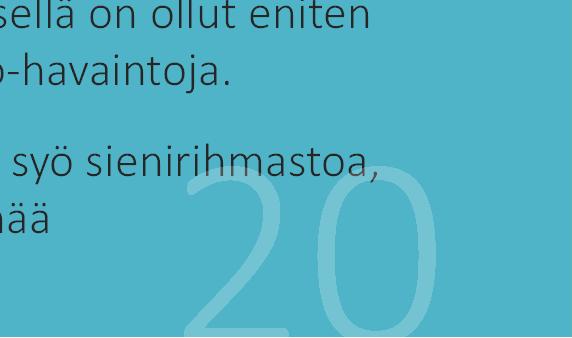 Kaakkois Suomessa ovat idänpirkot verrattain yleisiä,