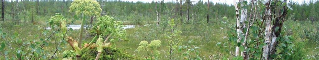 Suurin osa alueen soista on ravinteisuudeltaan mesotrofista eli keskiravinteista tai eutrofista eli runsasravinteista. Kasvillisuus alueella on edustavimmillaan lähteisillä lettosoilla.