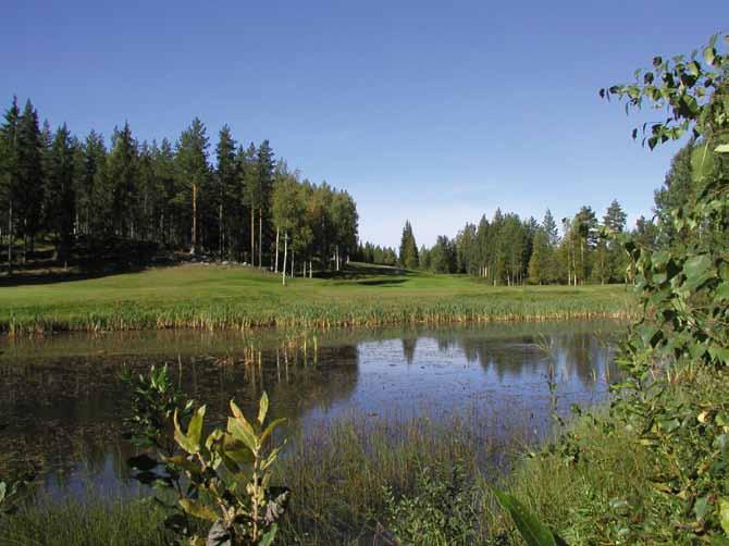 Holiday resort Kerimaa Holiday resort Kerimaa is a destination of many hobbies.