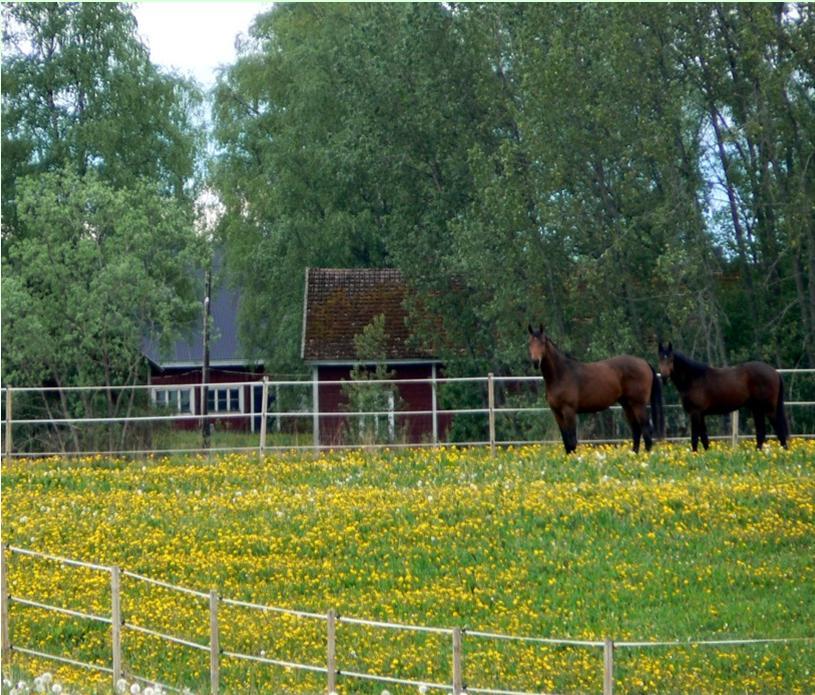 1. Johdanto 2. Jätehuollon nykytila 3. Jätehuollon järjestäminen 4. Tavoitteita ja toimenpiteitä kaudelle 2015 2020 5. Jätepoliittisen ohjelmatyön laadinta 6.