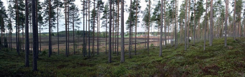 3. KOHTEEN SIJAINTI JA KUVAUS 8 Tutkittavana oleva kohde sijaitsee Kaustisen Metsäkylässä noin 7,2 km Kaustisen kirkosta pohjoiseen Koppeloharjun lounaisrinteen juurella.