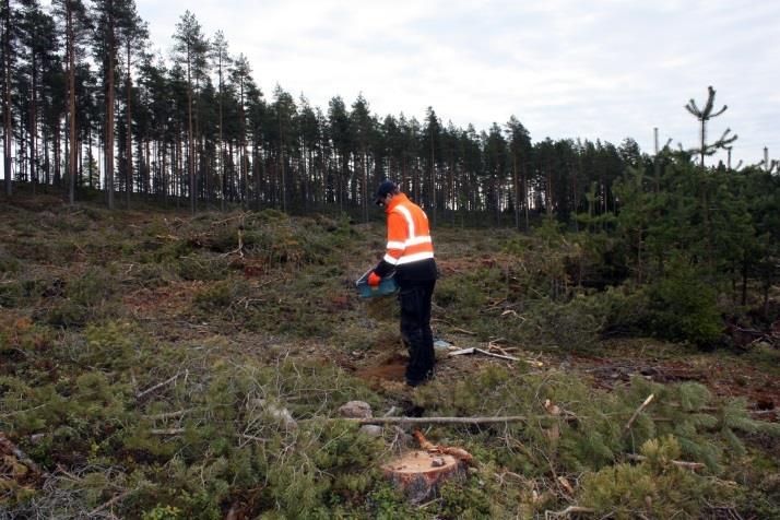 1,0 x 1,0 m kokoiseksi. Lisäksi kaivettiin yksi 7 x 1 m kokoinen koeoja yhden painanteen halki. Koeoja sijoitettiin niin, että sen kohdalle osui kaksi jo kaivettua koekuoppaa.