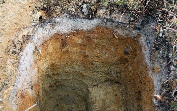 Suurin osa löytöistä saatiin kerroksista 1-2, eli 0-20 cm syvyydestä. Syvimmillään ne löytyivät 40-50 cm syvyydestä. Likamaata ja/tai palanutta hiekkaa havaittiin koekuopissa nro 8, 10, 13, 23 ja 29.