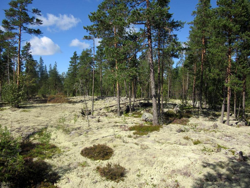 sähkönsiirtoreittien arkeologinen inventointi