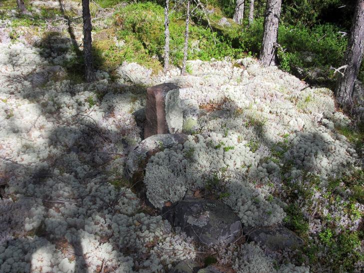 15 Vanha rajamerkki kallioalueen pohjoisosassa. Lähihistoriassa tehty pieni kiviröykkiö kallioalueen pohjoisosan luoteisreunalla. 2.