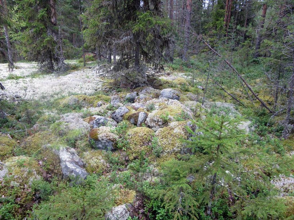 19 Röykkiö kaakosta. Historiallisen ajan muinaisjäännökset 4.