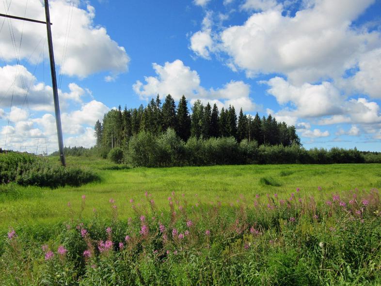 24 4 Saukonperällä voimalinjaus VE 1