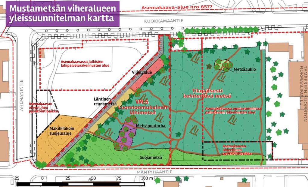 Kuva 4-3 Mustametsän viheralueen yleissuunnitelma, luonnos 15.11.2016. 5.