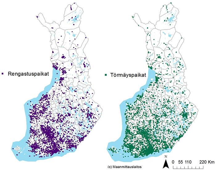 36 Kuva 13. Suomessa rengastettujen ja ikkunatörmäyksessä kuolleiden lintujen rengastus- ja törmäyspaikat vuosina 1974 2014.