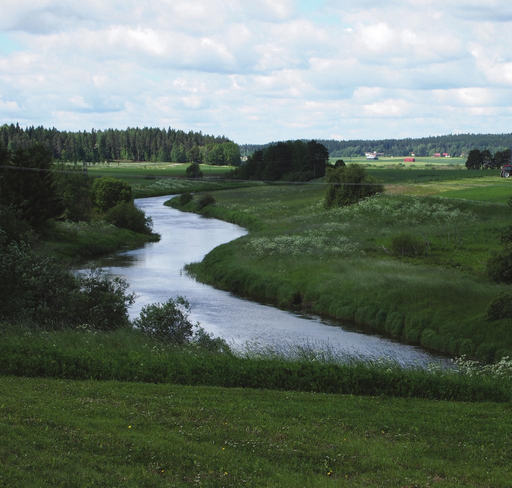 N-SINK hanketiedot N-SINK lukuina HANKKEEN NIMI Hankkeen kesto 4 vuotta (2013 2017) Hankerahoitus 1,2 milj.