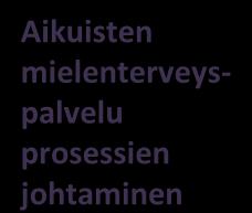 johtaminen Kehittämisryhmän ns.