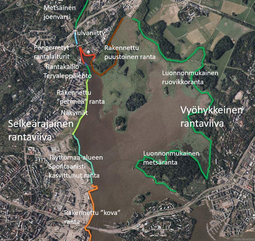 20/65 rantaa. Luonnon muovaamaa rantaviivaa ei alueella juurikaan ole, lukuun ottamatta pientä kallioista ranta-aluetta Vanhankaupunginkosken kupeessa. (kuva 10. rantatyypit). Kuva 10.