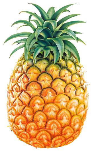 Apple Pineapple