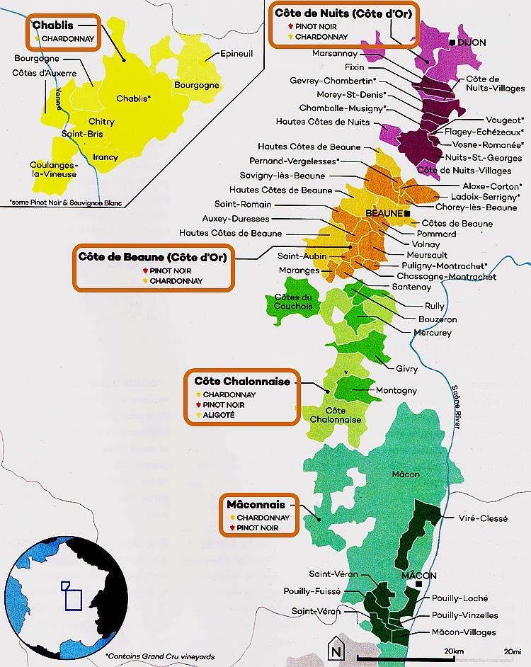 Chardonnay -lajike : Chablis ja Bourgogne Chardonnay-lajike Bourgognessa: