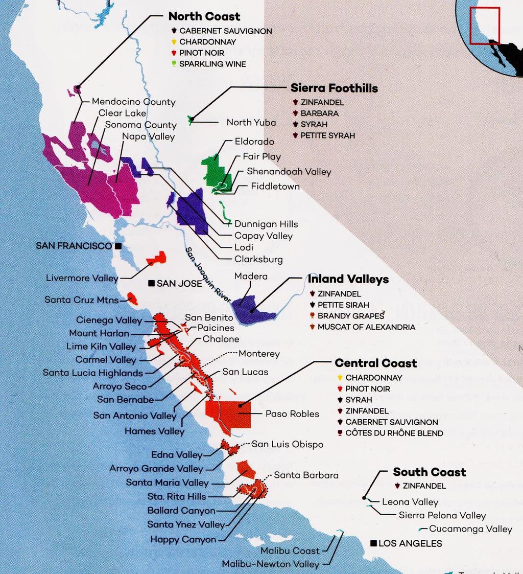 Chardonnay -lajike : Kalifornia Chardonnay-lajike Kaliforniassa: North Coast Sonoma County Napa