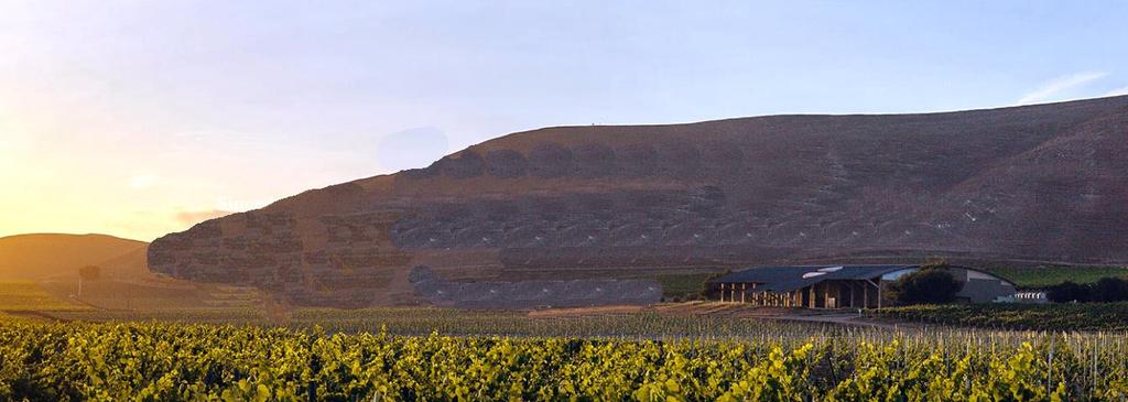 Byron Winery Santa Maria Valley Byron Winery on omistanut 80 vuoden ajan Santa Maria Valleyn alueella sijaitsevan Nielson Vineyard-nimisen tarhan.