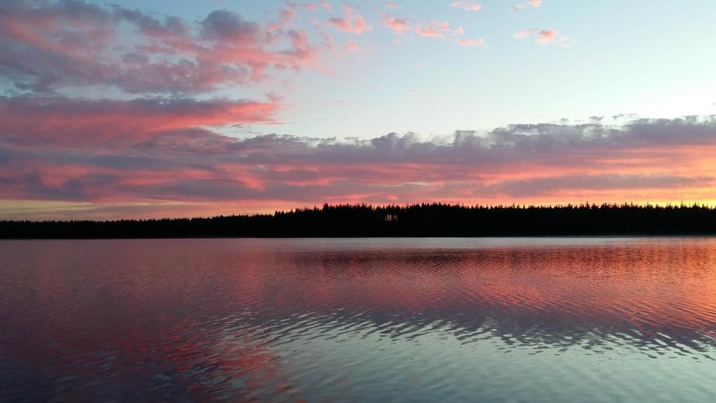 4 YMPÄRISTÖVASTUU Kaatopaikkakaasut ja likaiset suotovedet ovat jätehuollon merkittävimmät ympäristöhaitat.