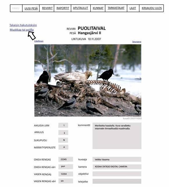 Kuva -näkymässä voi siirtyä tuloslistassa edelliseen tai seuraavaan kuvaan sekä