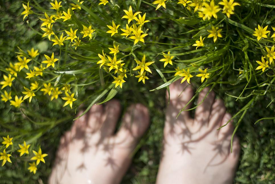 Päivän työpajat Green Care ja elvyttävät ympäristöt työpaja Työpajassa esitellään elvyttävän ympäristön vaikuttavuutta ja tominnallisuuden mahdollisuuksia