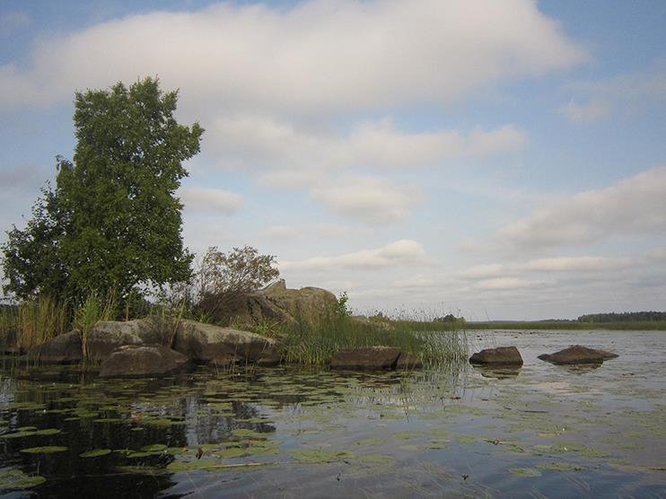 Natura-alueiden yleissuunnitelma