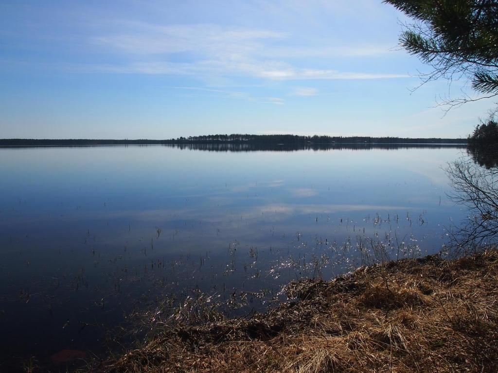 Seinäjärvelle aukeaa alueelta hyvät laajat maisemat, sillä edessä on iso järven selkä.