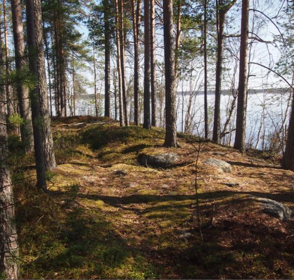 FCG SUUNNITELU JA TEKNIIKKA OY SELOSTUS 13 (23) Yläosan pohjoispuolinen alue on