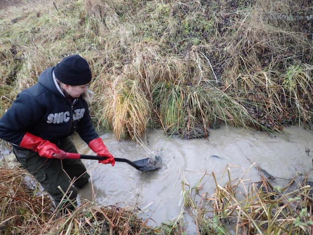 Kokeen toisessa osassa eli niin sanotussa mylläyskokeessa oli tarkoitus ottaa kaksi kertaa kolme näytettä.