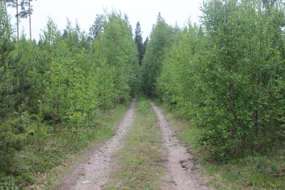 Tielinja kulkee osittain olemassa olevaa