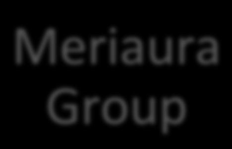 palveluita, kuten tuulivoiman esiselvitykset, tuulimittaukset sekä lupaprosessit. 4 Meriaura Group Meriaura Logis.