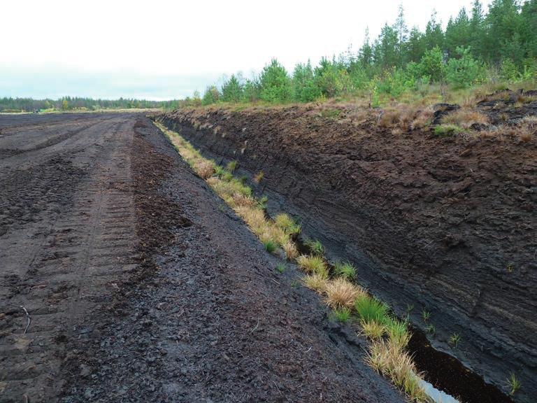 pitoisuus oli yleensä pienempi kuin alemmilla litorina-alueilla. Lähes kaikilta tutkituilta alueilta löytyi sulfidipitoista maa-ainesta.