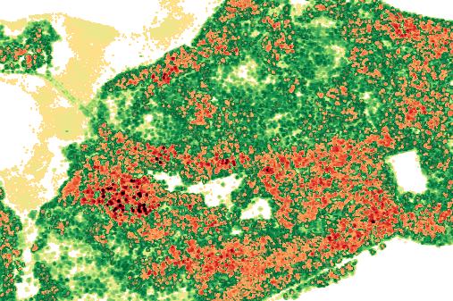 TAPIOn ylläpitämää selainpohjaista ForestKit-järjestelmää (myös vanhemman