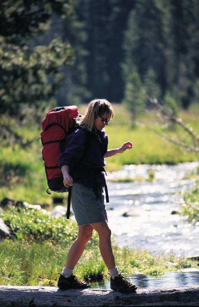 Nyt mennään metsään Marjastamaan ei mennä pelkästään suuri marjasaalis mielessä, vaan metsä koetaan myös virkistyspaikkana.