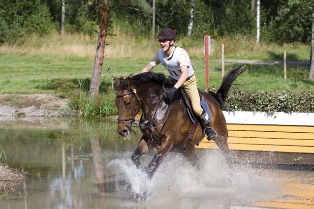 Monipuolinen hevosala 9 Hevosten omistajien, harrastajien ja yrittäjien lukumäärien perusteella voidaan arvioida, että hevonen vaikuttaa jopa puolen miljoonan, joka kymmenennen suomalaisen, elämään